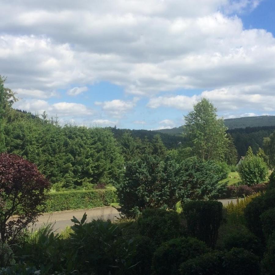 FeWo Eulennestchen-Harz Altenau  Exterior foto