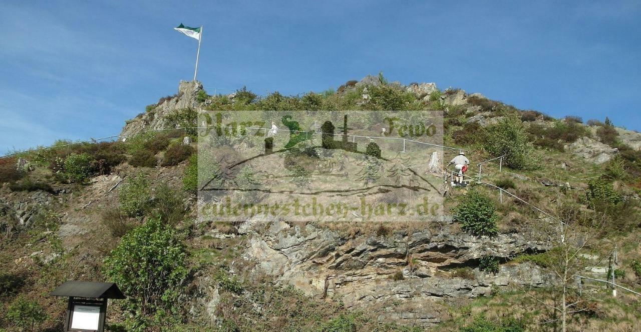 FeWo Eulennestchen-Harz Altenau  Exterior foto