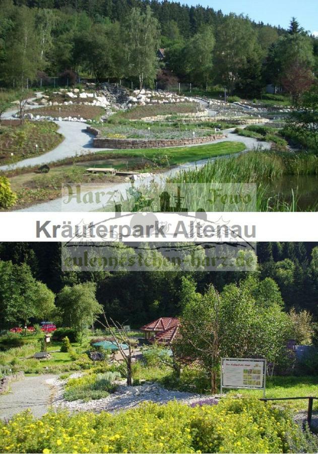 FeWo Eulennestchen-Harz Altenau  Exterior foto