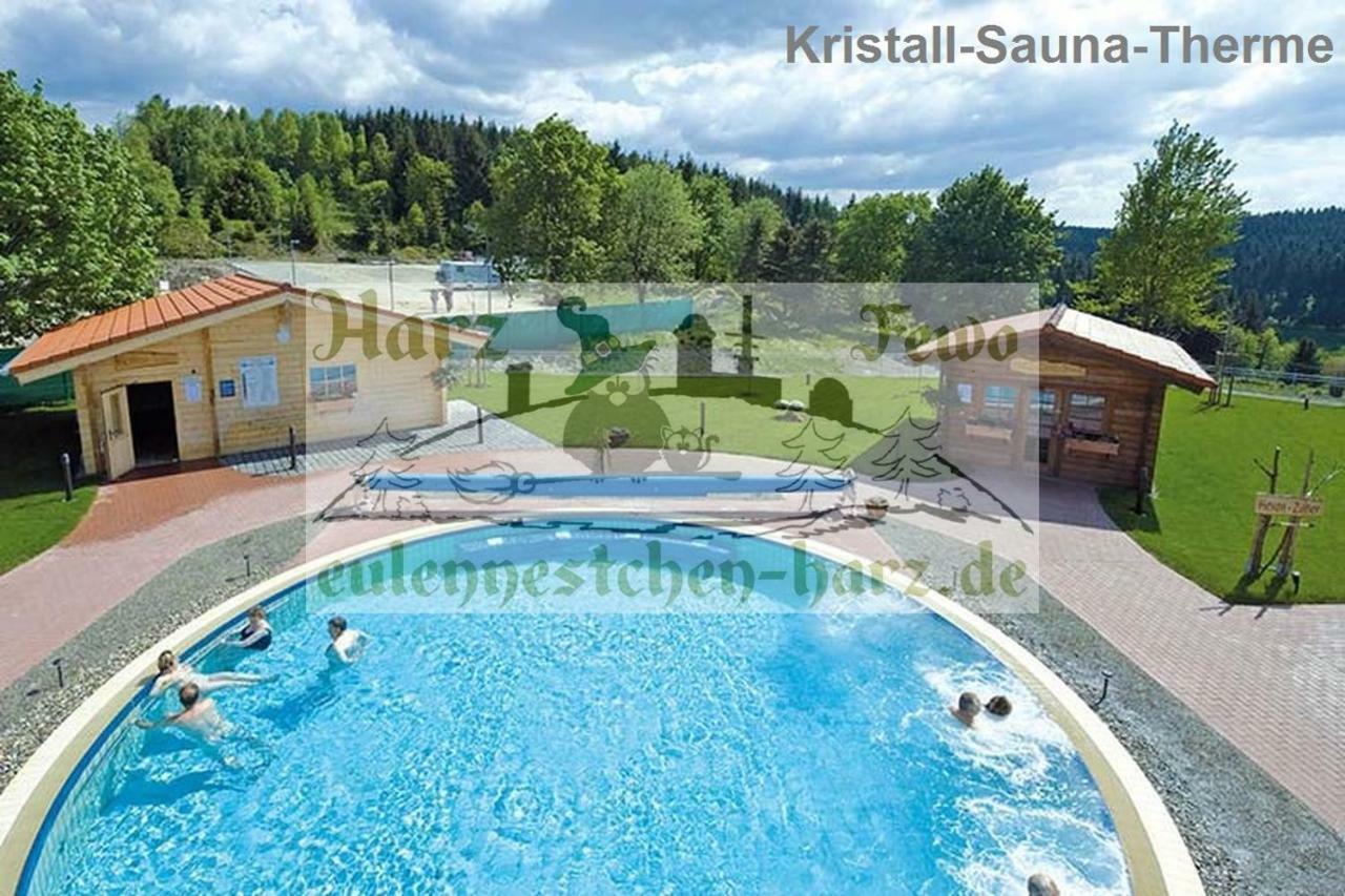 FeWo Eulennestchen-Harz Altenau  Exterior foto