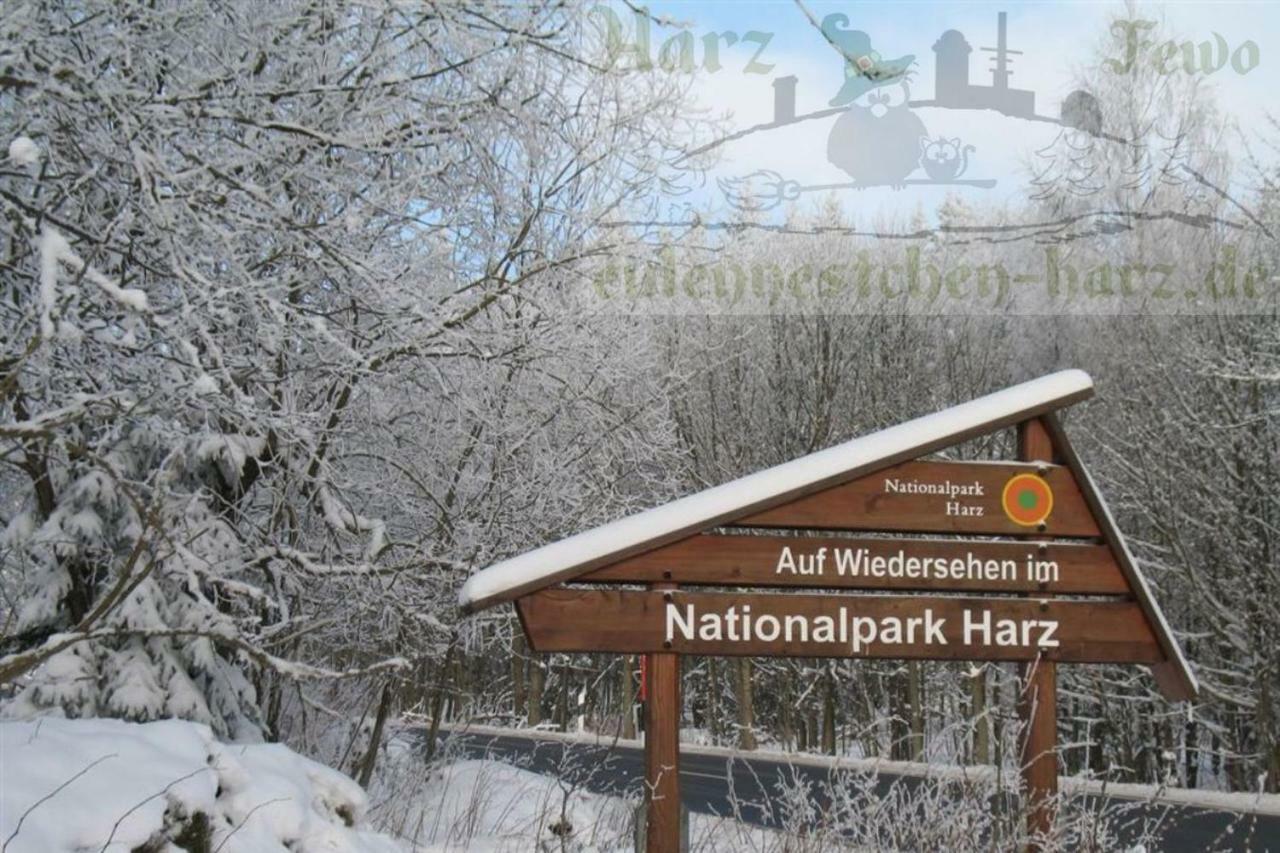 FeWo Eulennestchen-Harz Altenau  Exterior foto